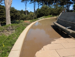 pxl20260402204019141