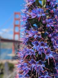 pxl20260402204712441