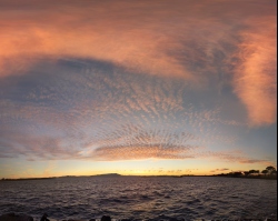 pano20210803032457728