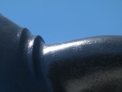 p2370909