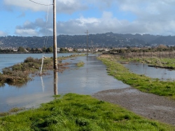 pxl20260103200034546