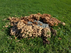 pxl20260103211711143