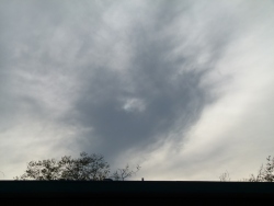 p2320681