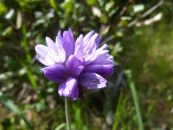 p2320697