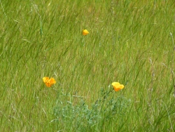 p2320700