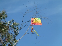 p2370742