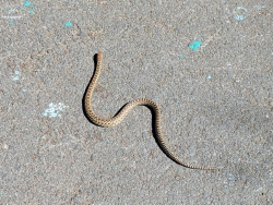 pxl20260407220248951c