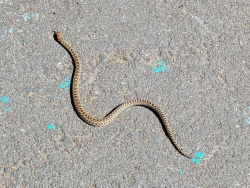 pxl20260407220249690c