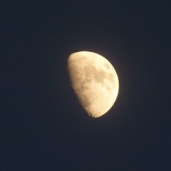 p2300031c