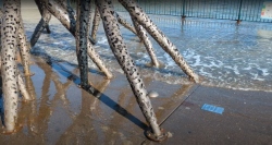 pxl20251205183251814