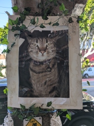 pxl20251205213240117