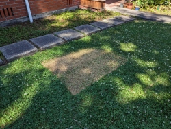 pxl20240605223515681