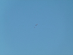 p2040349