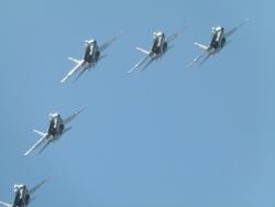 p2040416