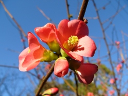 p1270726
