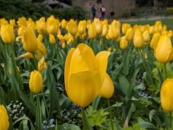 pxl20260303212148354