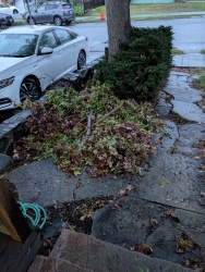 pxl20251105144623363