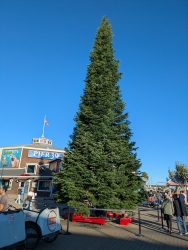 pxl20251107233011481