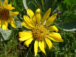 p1050229