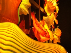 p1230106