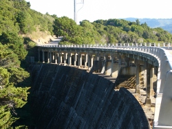 p1290765