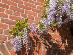 pxl20260309221448655