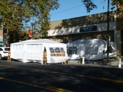 p2310544