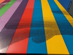 pxl20260212170040387