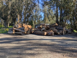 pxl20250112215634853