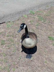 pxl20260413204215490