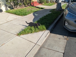 pxl20260414003818039