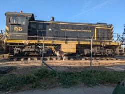 pxl20250516015655522