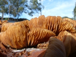 p2360289