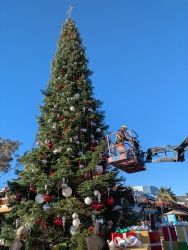 pxl20260112232247381