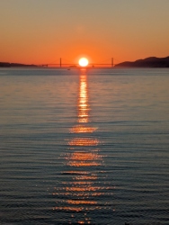 pxl20260116011105163