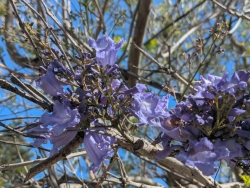 pxl20260415224017759