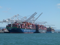 p2360786