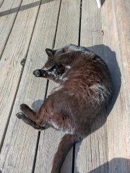 pxl20260213231143590