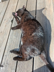 pxl20260213231147914