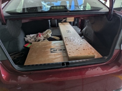 pxl20260217195406241