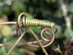 pxl20260218211941902