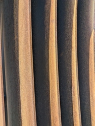 pxl20250618221244933