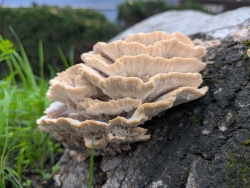 pxl20251116233941849