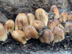 pxl20251116234012804