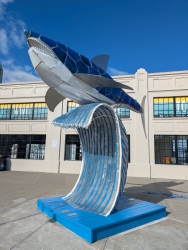 pxl20251118213321788