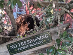 pxl20260316185035214