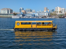 pxl20260318222742199