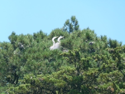 p2380490