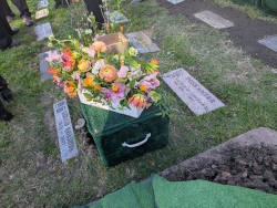 pxl20260116212526396