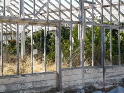 p1330490